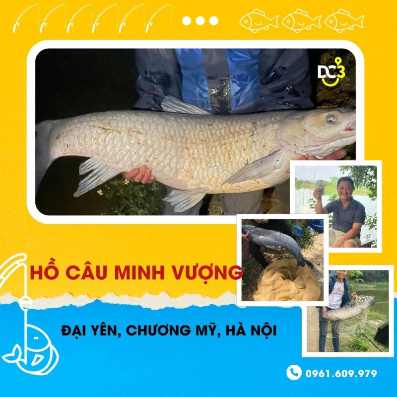 Giới thiệu hồ câu dịch vụ Minh Vượng