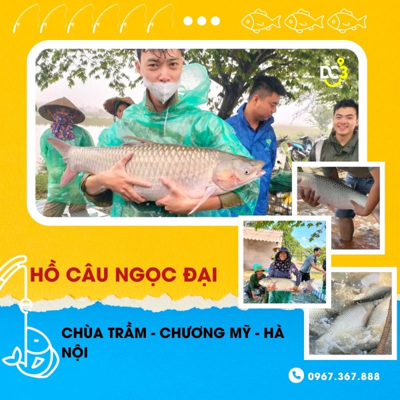Giới thiệu hồ câu dịch vụ Ngọc Đại