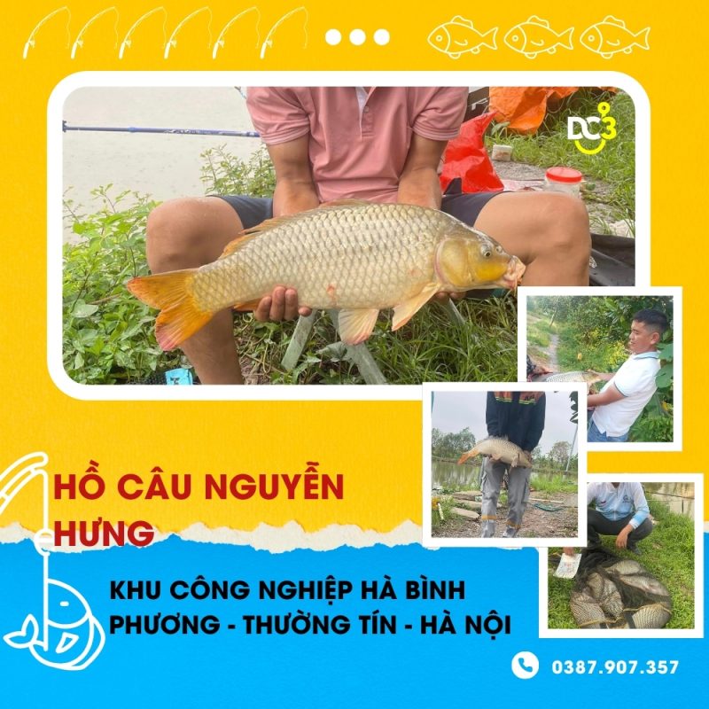 Giới thiệu hồ câu dịch vụ Nguyễn Hưng