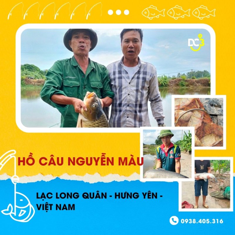 Giới thiệu hồ câu dịch vụ Nguyễn Màu