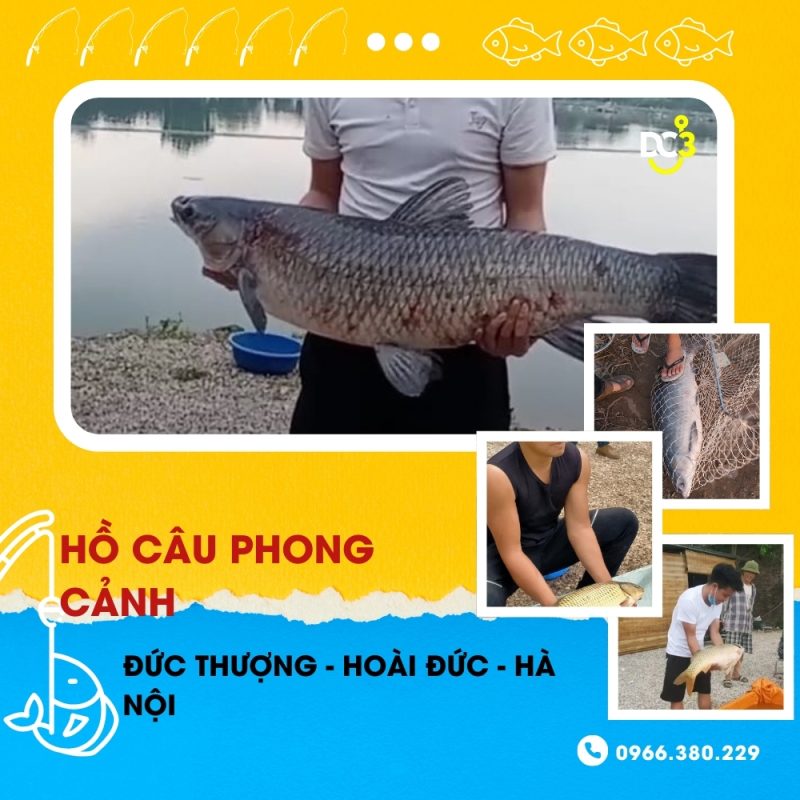 Giới thiệu hồ câu dịch vụ Phong Cảnh