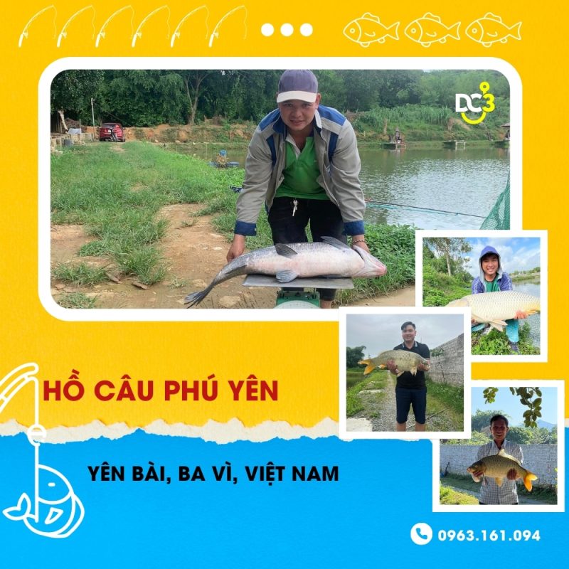 Giới thiệu hồ câu dịch vụ Phú Yên