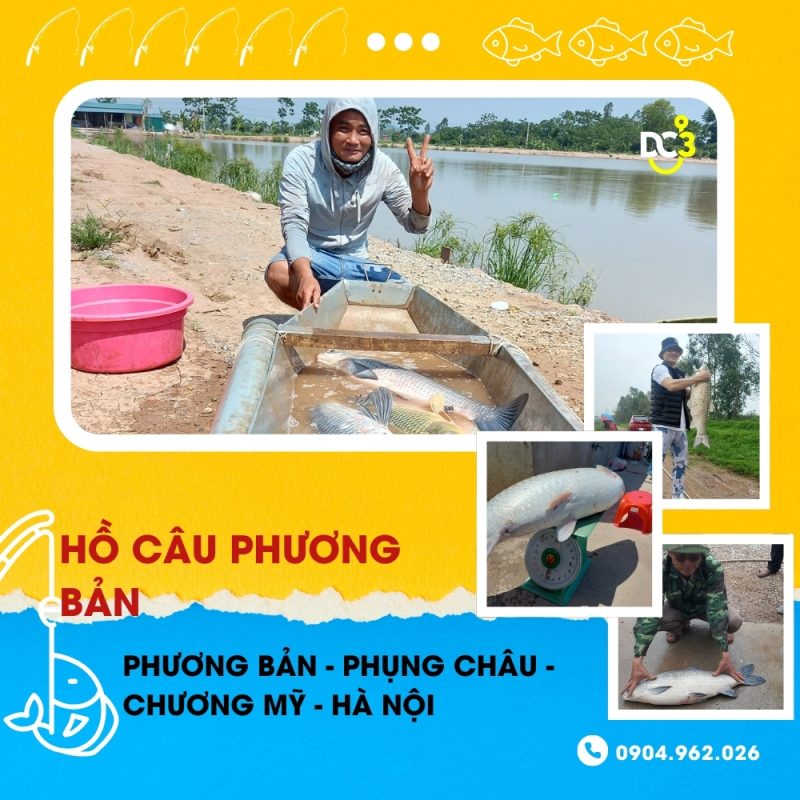 Giới thiệu hồ câu dịch vụ Phương Bản