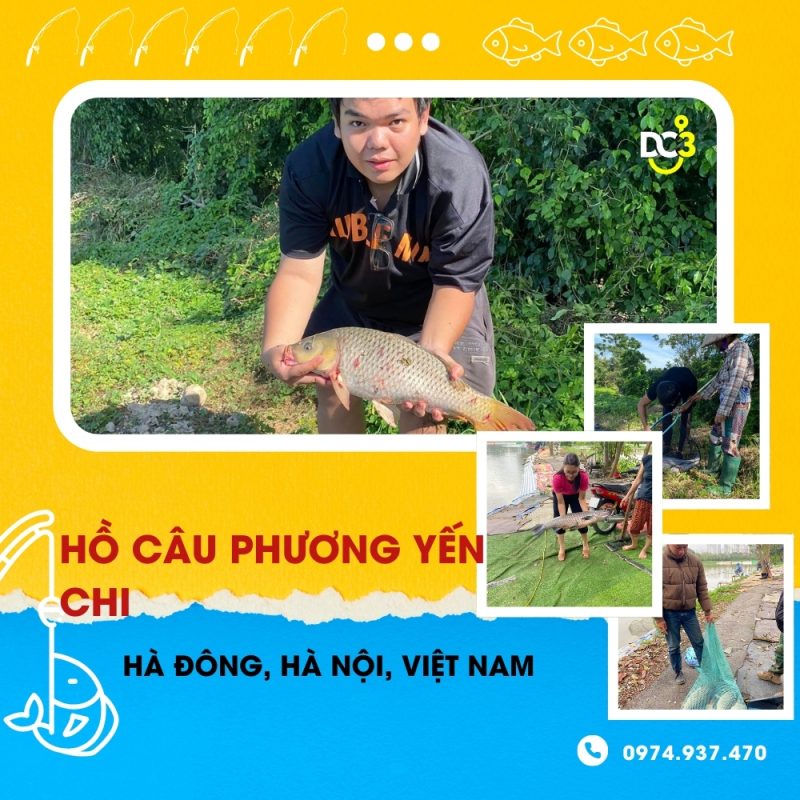 Giới thiệu hồ câu ndichj vụ Phương-Yến Chi