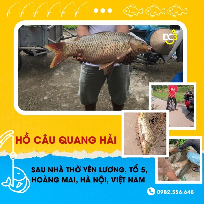 Giới thiệu hồ câu dịch vụ Quang Hải