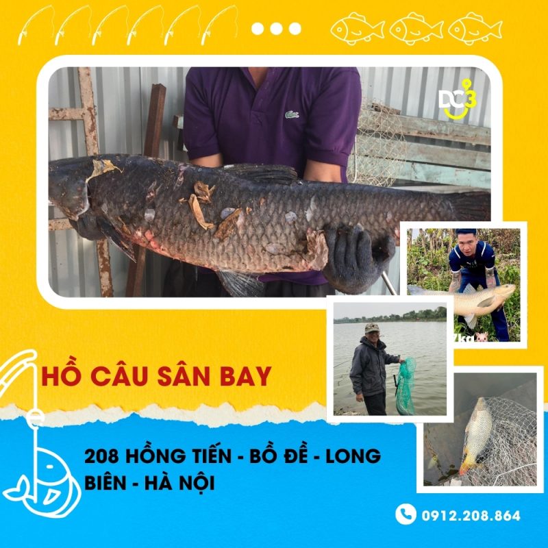 Giới thiệu hồ câu dịch vụ Sân Bay
