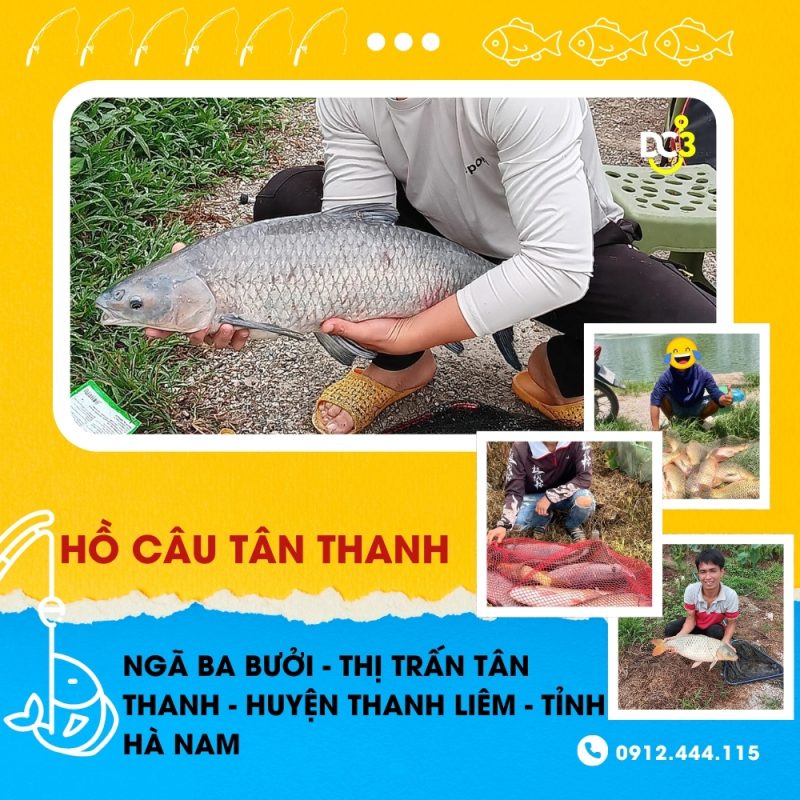 Giới thiệu hồ câu dịch vụ Tân Thanh