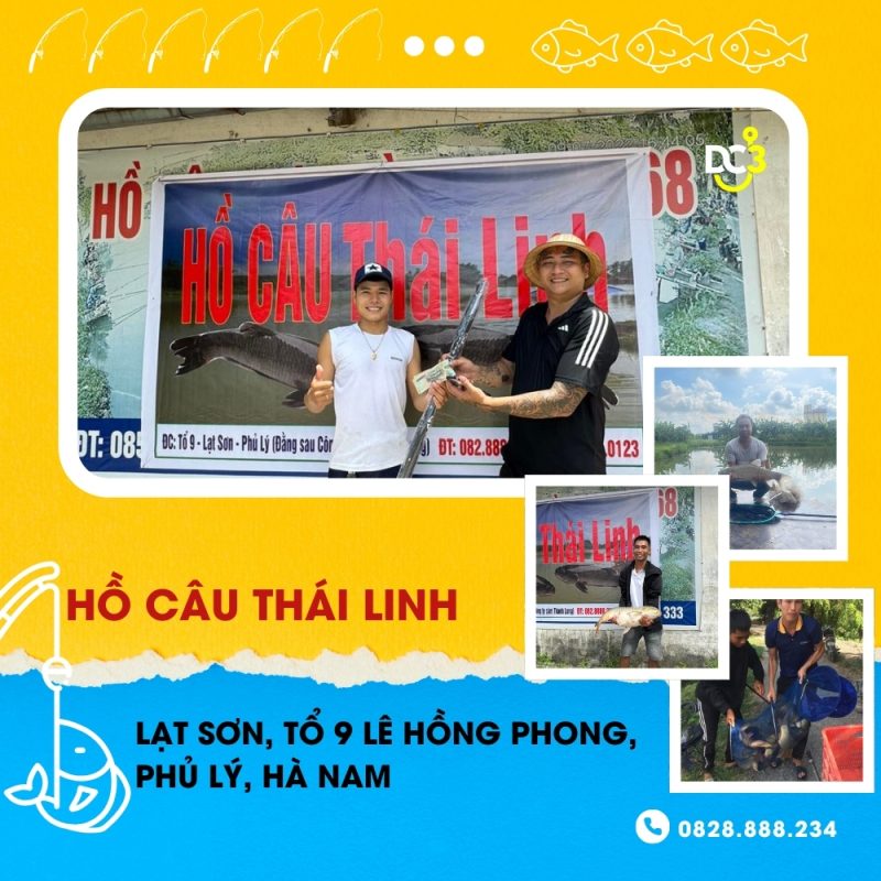 Giới thiệu hồ câu dịch vụ Thái Linh