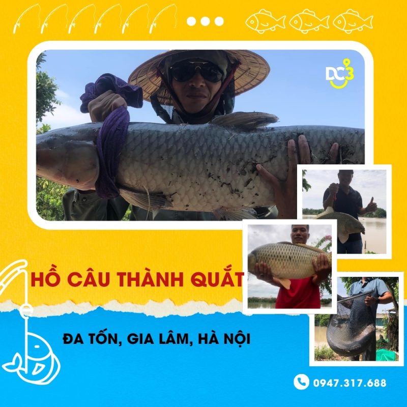 Giới thiệu hồ câu dịch vụ Thành Quắt