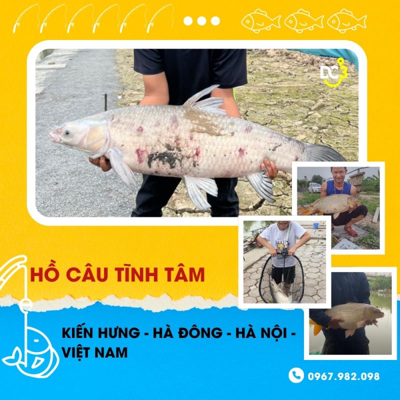 Giới thiệu hồ câu dịch vụ Tĩnh Tâm