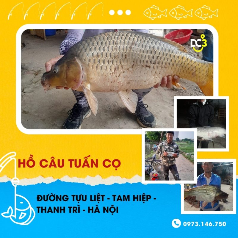 Giới thiệu hồ câu dịch vụ Tuấn Cọ
