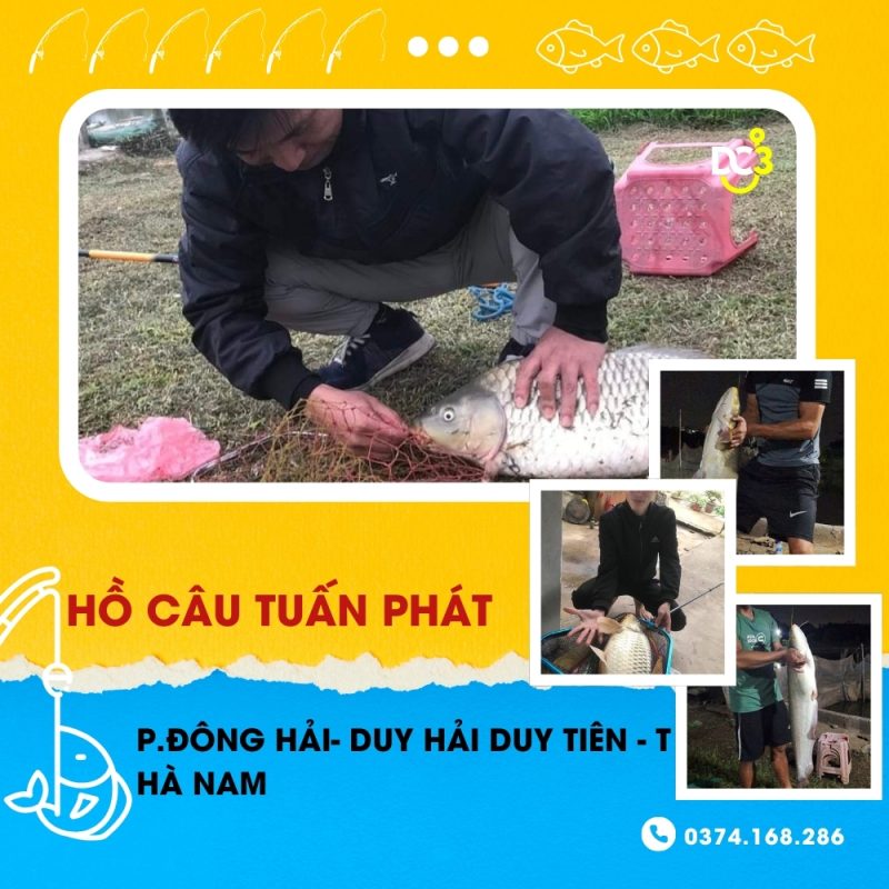Giới thiệu hồ câu dịch vụ Tuấn Phát