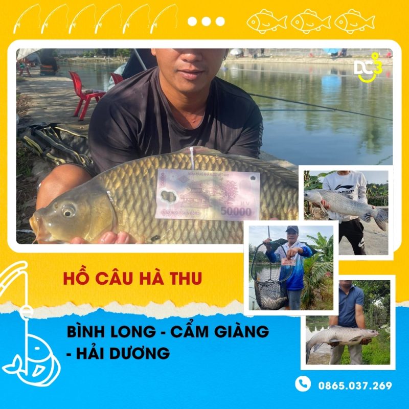 Giới thiệu hồ câu dịch vụ Hà Thu