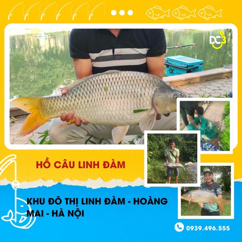 Giới thiệu hồ câu Linh Đàm