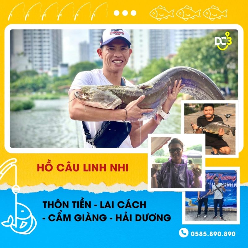 Giới thiệu hồ câu Linh Nhi
