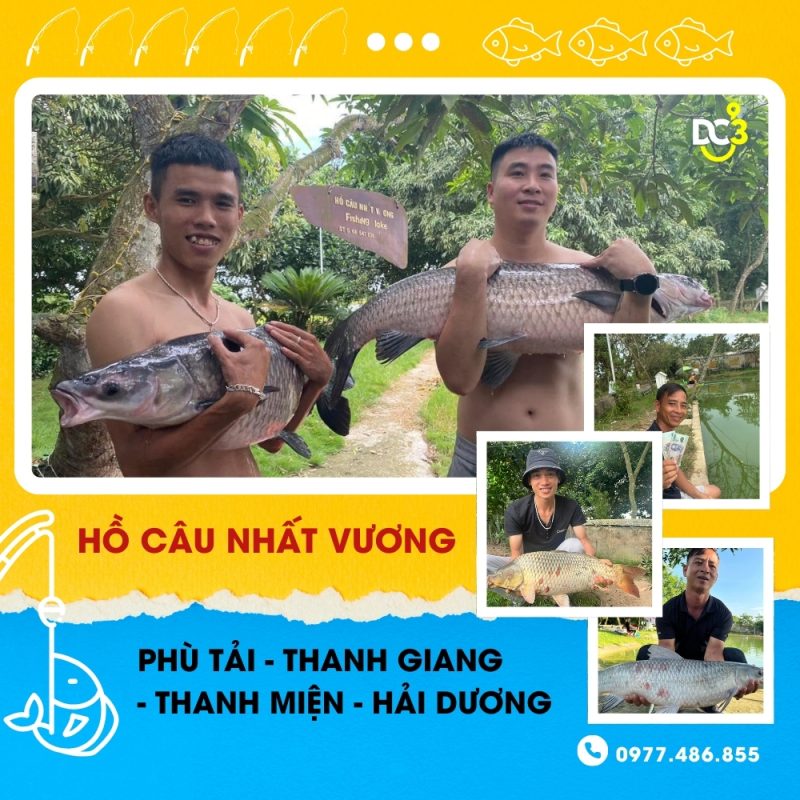 Giới thiệu hồ câu Nhất Vương