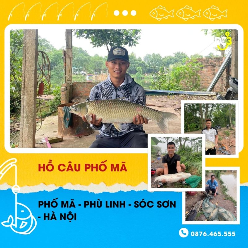 Giới thiệu hồ âcu Phố Mã