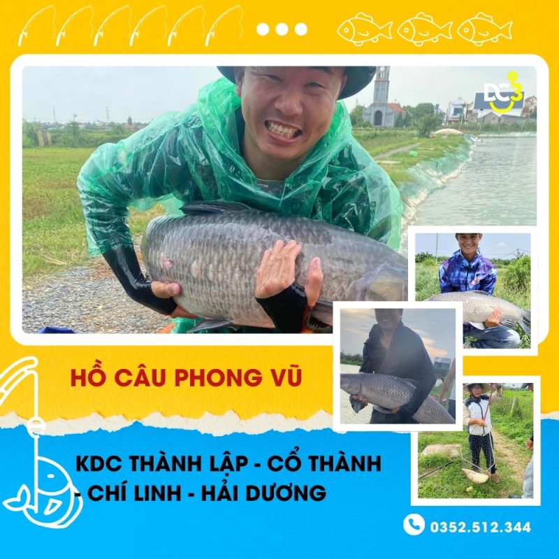 Giới thiệu hồ câu Phong Vũ