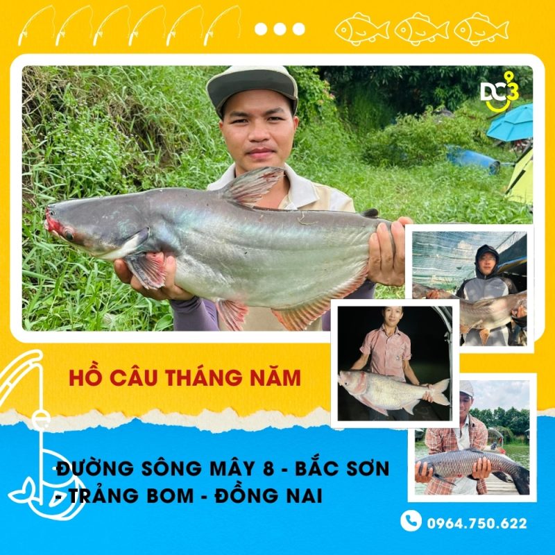 Giới thiệu hồ câu Tháng Năm