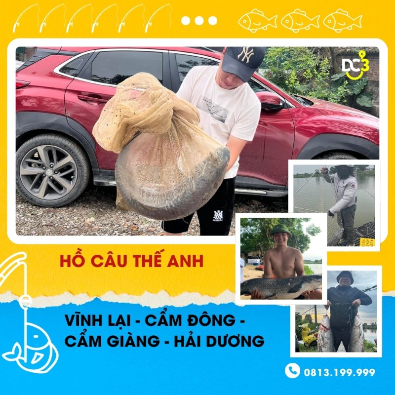 Giới thiệu hồ câu dịch vụ Thế Anh