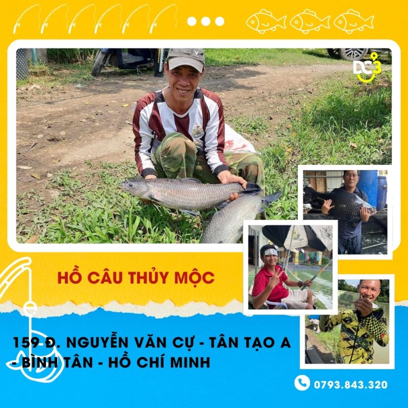 Giới thiệu hồ câu Thủy Mộc