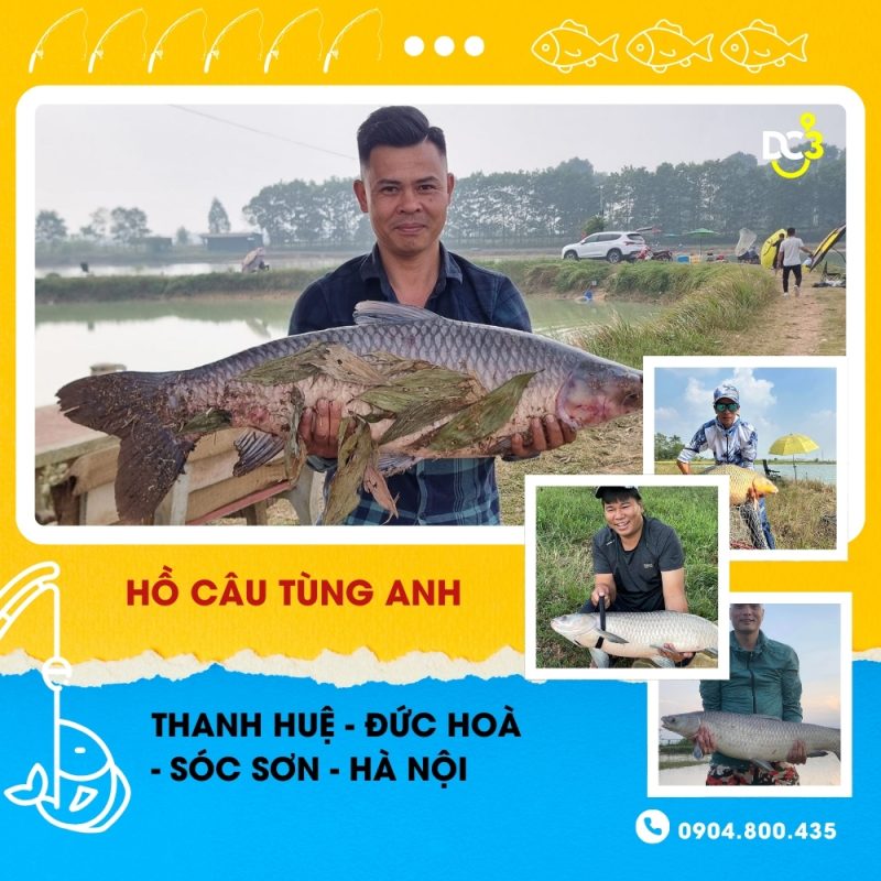 Giới thiệu hồ câu Tùng Anh