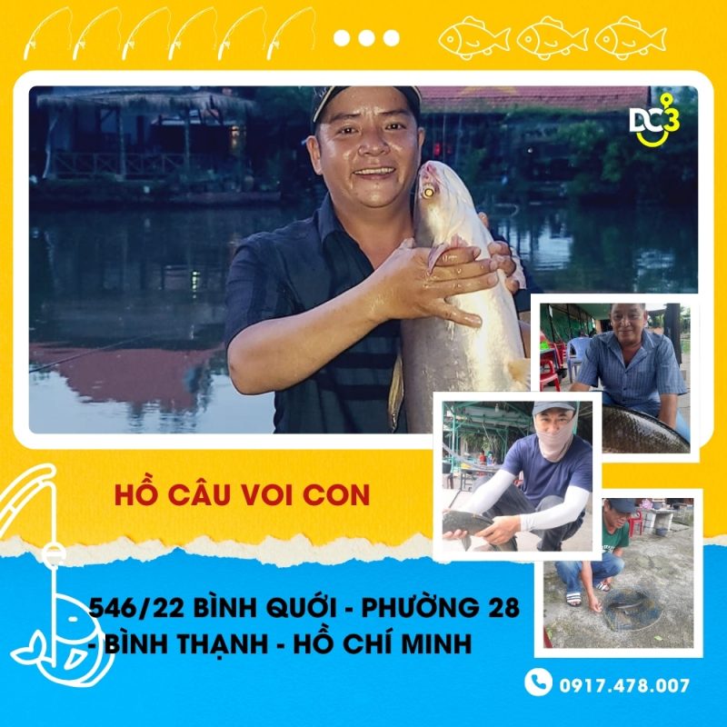 Giới thiệu hồ câu Voi Con