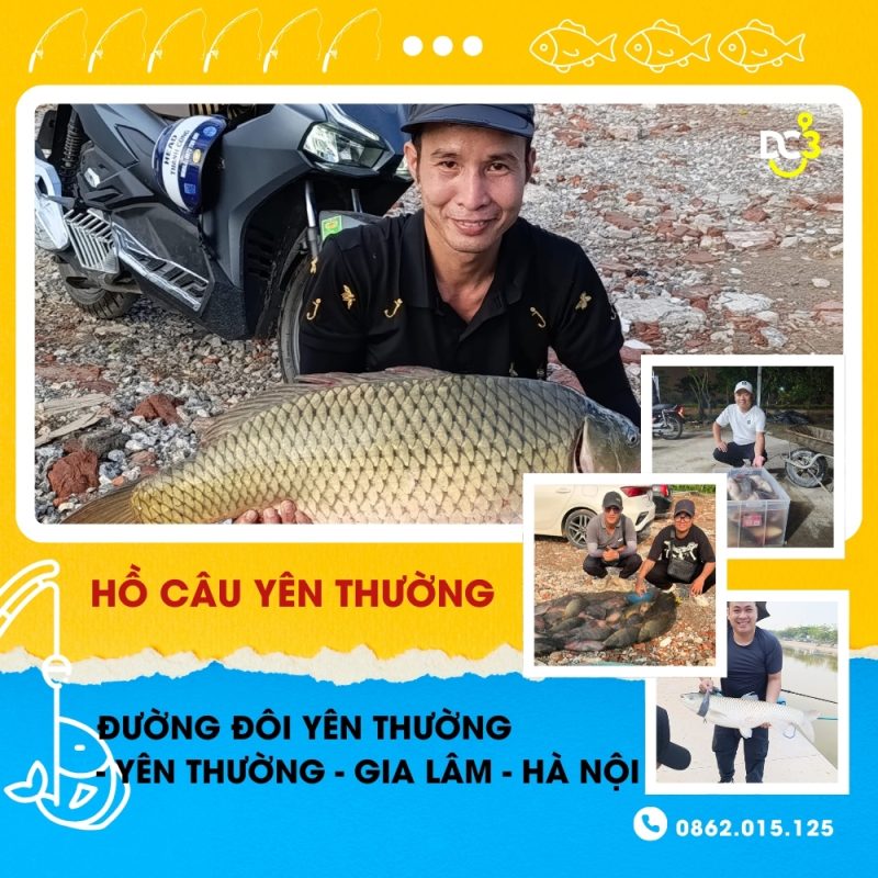 Giới thiệu hồ câu Yên Thường