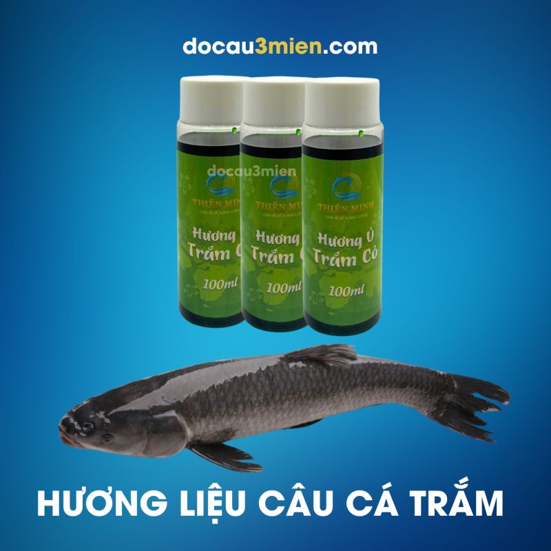 Ủ mồi cấp tốc với Hương ủ trắm cỏ Thiên Minh
