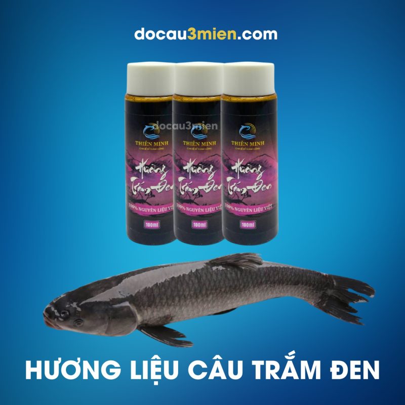 Ủ mồi cấp tốc với Hương Trắm đen Thiên Minh