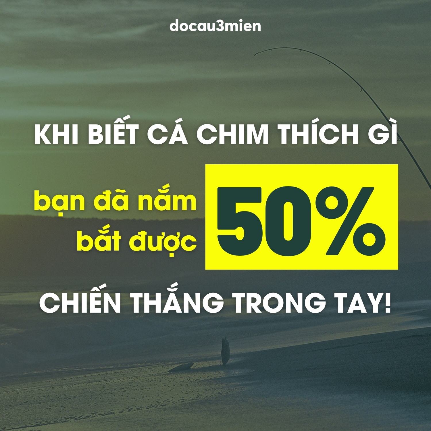 Khi biết cá chim thích gì, bạn đã nắm bắt được 50% chiến thắng trong tay!