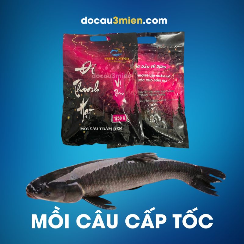  Ủ mồi cấp tốc với mồi câu trắm Thiên Minh