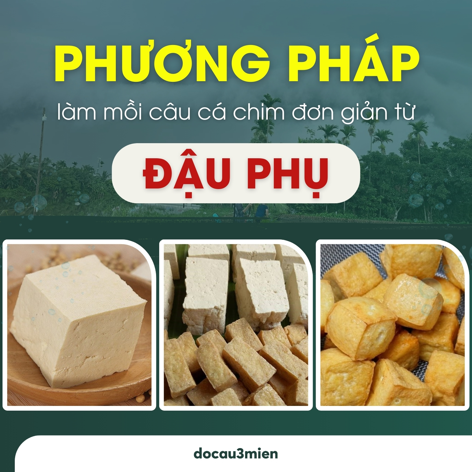 Phương pháp làm mồi câu cá chim đơn giản từ đậu phụ