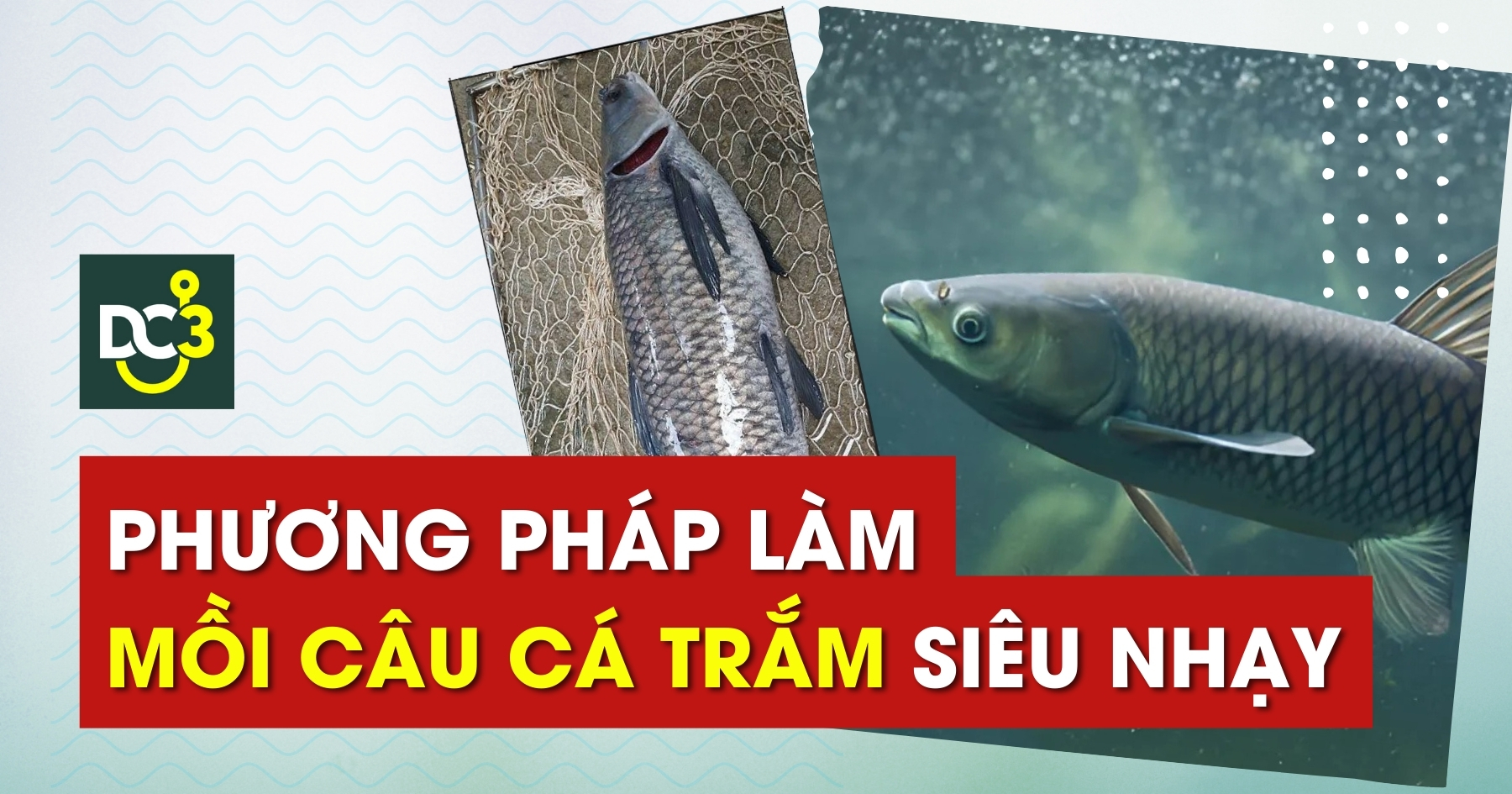 Phương Pháp Làm Mồi Câu Cá Trắm Siêu Nhạy