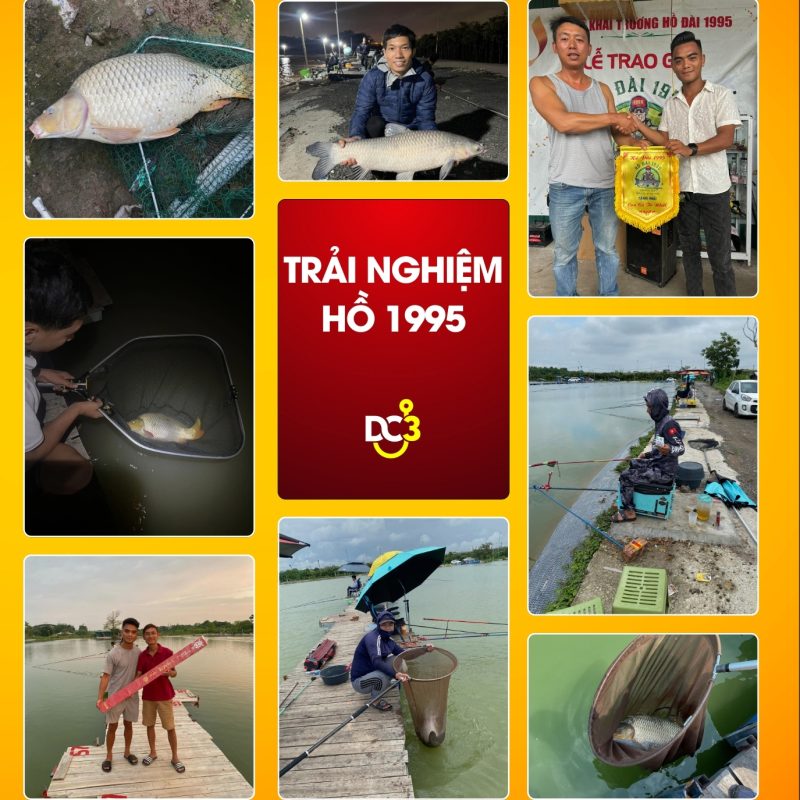 Trải nghiệm cần thủ hồ câu 1995