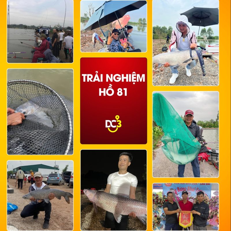 Trải nghiệm cần thủ hồ câu 81