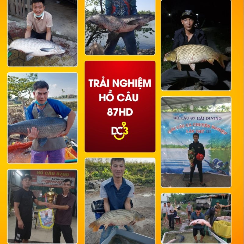 Trải nghiệm cần thủ hồ câu 87HD