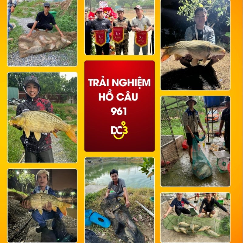 Trải nghiệm cần thủ hồ câu 961