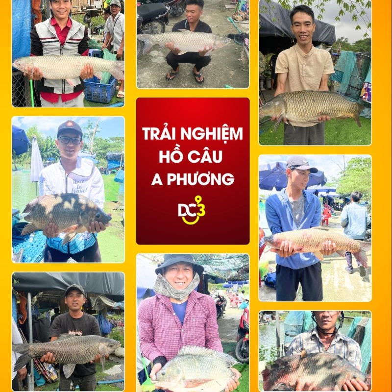 Trải nghiệm cần thủ hồ câu A Phương