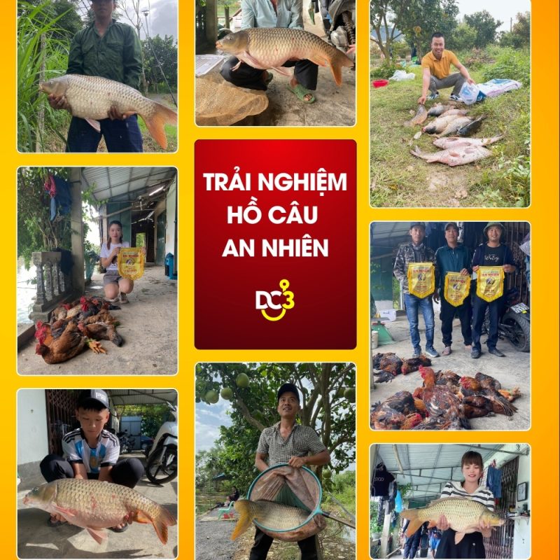 Trải nghiệm cần thủ hồ câu An Nhiên