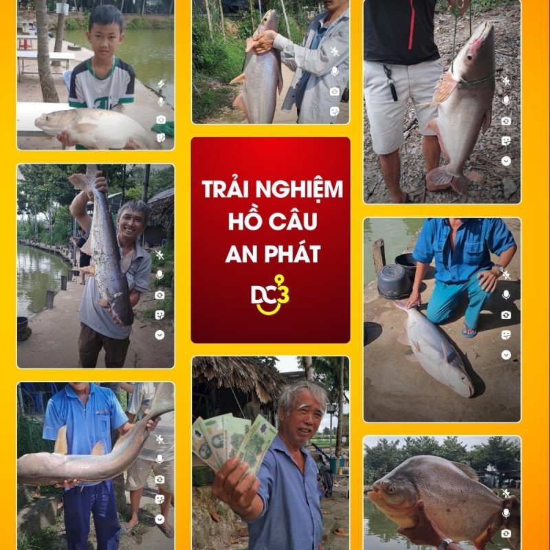 Trải nghiệm cần thủ hồ câu An Phát
