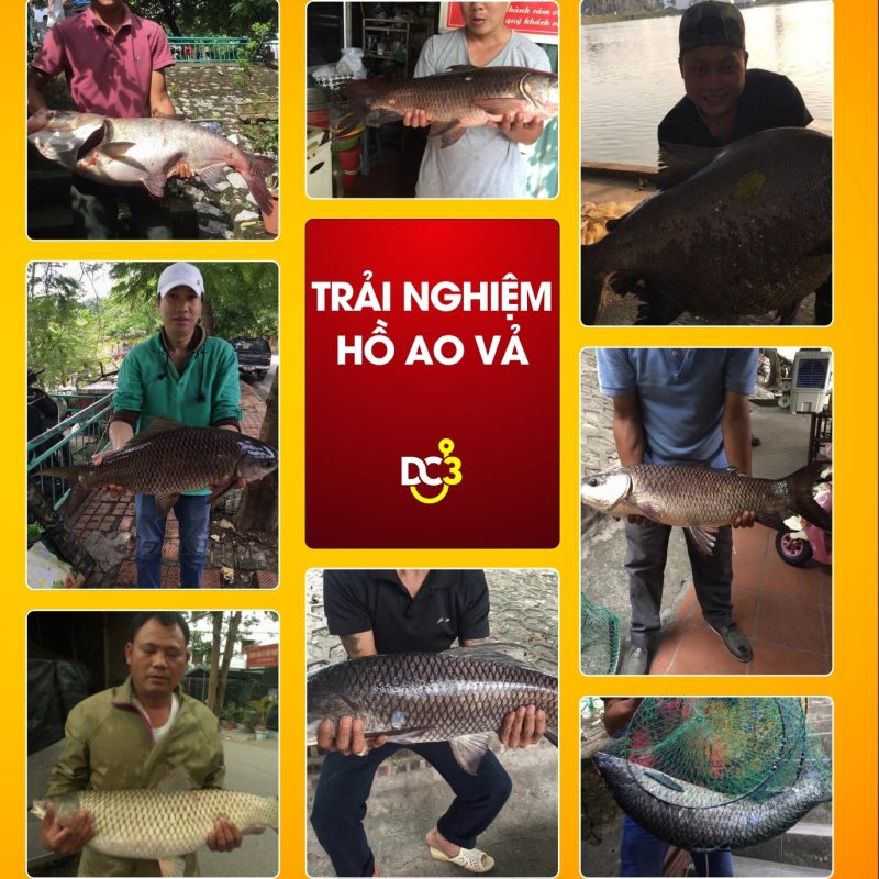 Trải nghiệm cần thủ hồ câu Ao Vả