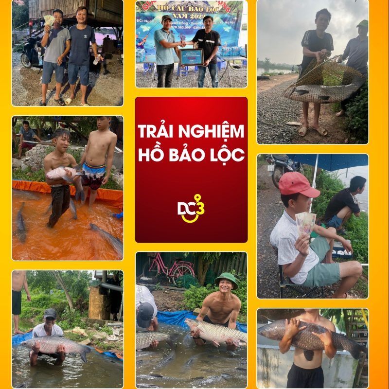 Trải nghiệm cần thủ hồ câu Bảo Lộc