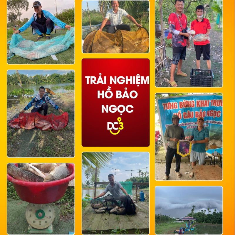 Trải nghiệm cần thủ hồ câu Bảo Ngọc