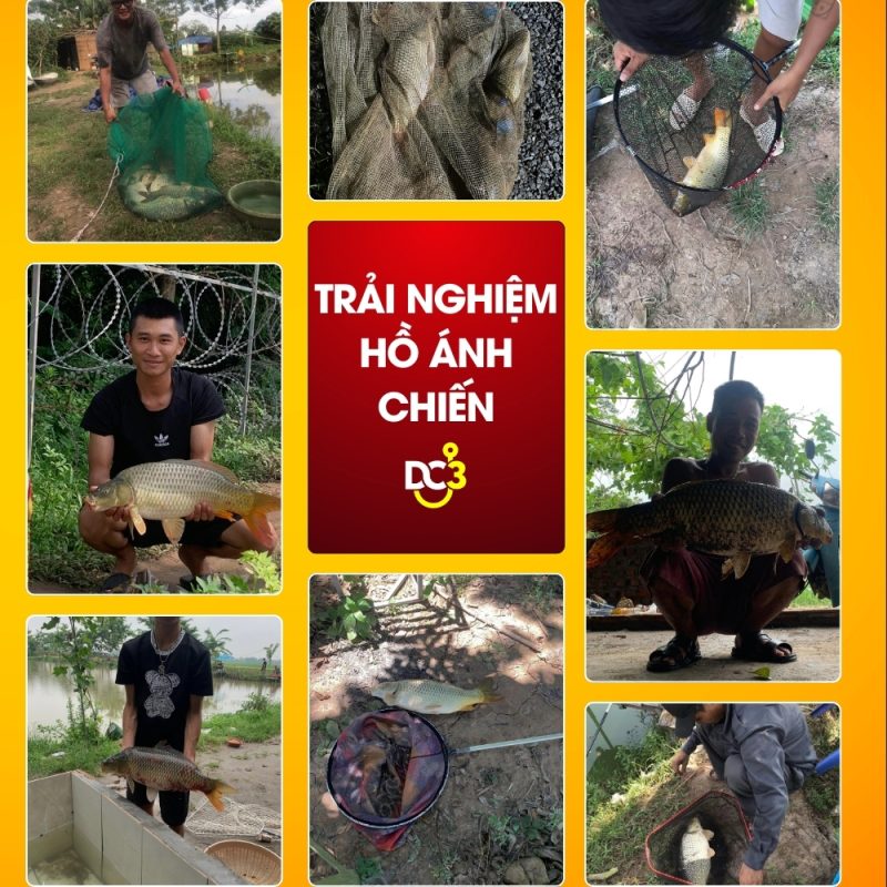 Trải nghiệm cần thủ hồ câu Ánh Chiến