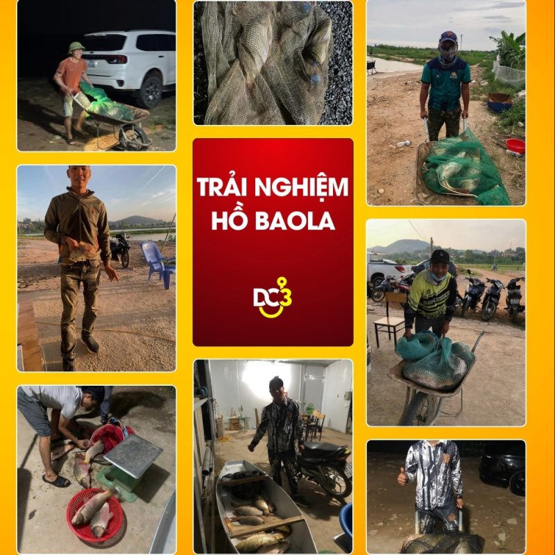 Trải nghiệm săn cá tại Hồ câu Baola