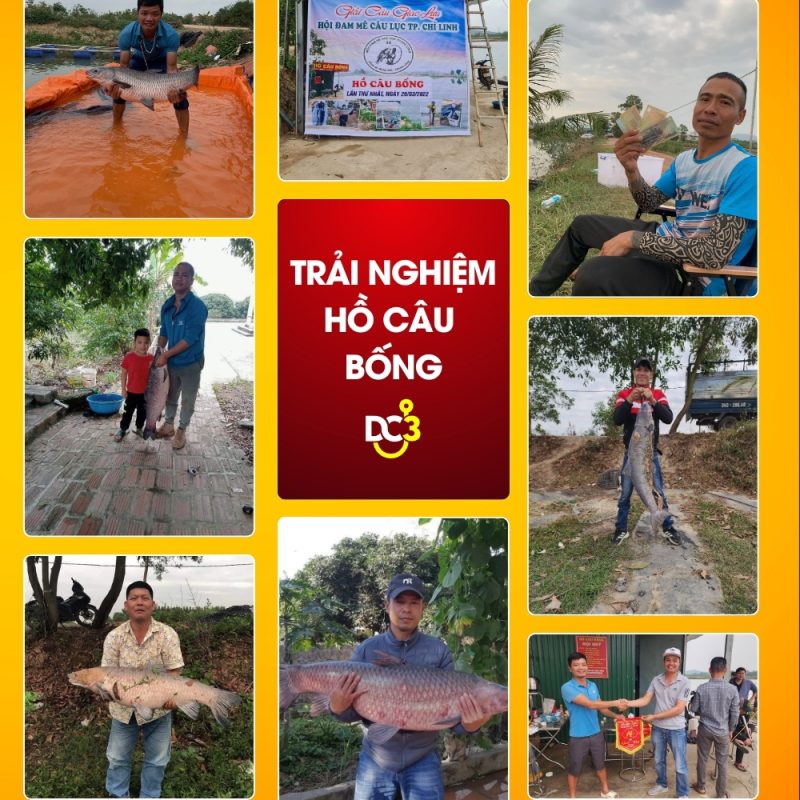 Trải nghiệm cần thủ hồ câu Bống