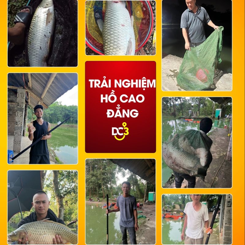 Trải nghiệm cần thủ hồ câu Cao Đẳng