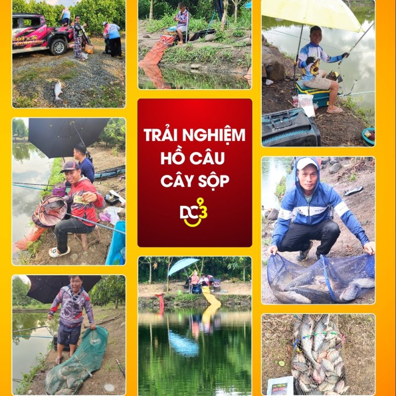 Trải nghiệm cần thủ hồ câu Cây Sộp