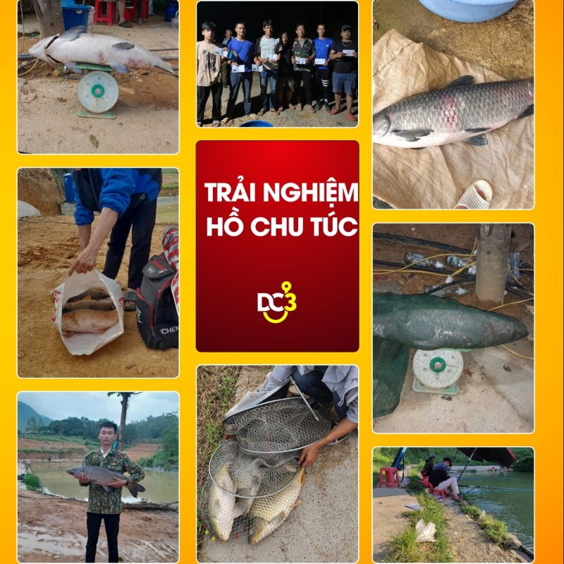 Trải nghiệm cần thủ hồ câu Chu Túc